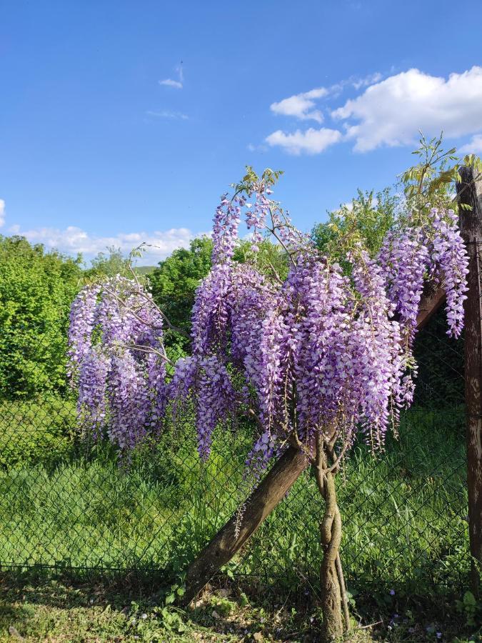 Podere Verdi Colline Poppi Exteriör bild